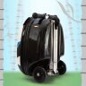 Самокат-чемодан Панда Пенни ZINC 